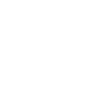 Ins