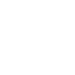 mobile'